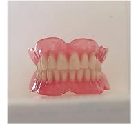 ExKaTe Upper Teeth and Lower Teeth Model Denture Model Mouth Tooth Model for Kids or Dentist Students Demonstration Teaching Studying Tool.