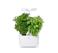 Exky® CLASSIC - Self sufficient indoor garden by Véritable® - 2 Lingots® included