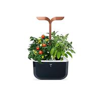 Exky Smart Black Copper - Self-Sufficient Indoor Garden by Véritable - 2 Lingots Included