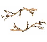 Exo Terra Forest Branch Large