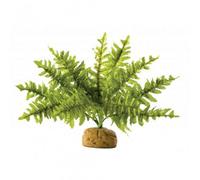 Exo Terra Rainforest Plant Boston Fern Small