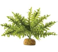 Exo Terra Boston Fern Small