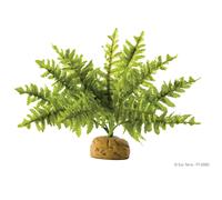 Exo Terra Boston Fern Small / Medium Reptile Vivarium Artificial Plant Chameleon