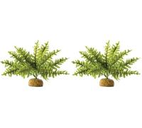 Exo Terra Boston Fern Small (Pack of 2)