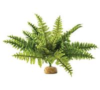 Exo Terra Boston Fern Terrarium Plastic Plant, Medium