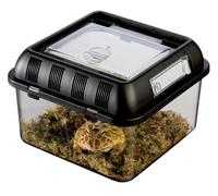 Exo Terra Faunarium, Flat