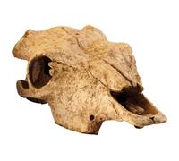 Exo Terra Buffalo Skull