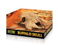 Exo Terra Buffalo Skull
