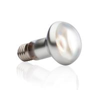 Hagen Exo Terra Intense Basking Spot Lamps - 100w