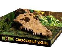 Exo Terra Crocodile Skull - 1 Pc