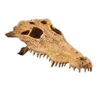 Exo Terra Crocodile Skull