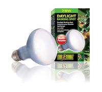 Hagen Exo Terra Intense Basking Spot Lamps - 100w