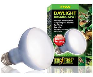 Exo Terra Daylight Basking Spot Lamp - Screw Fitting - 75w