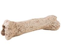 Exo Terra Dinosaur Bone