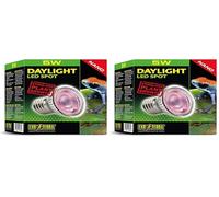Exo Terra ET Daylight LED Spot 5w (Pack of 2)