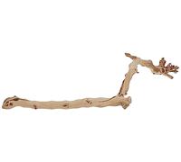 Exo Terra Forest Branch Large