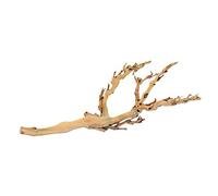 Exo Terra Forest Moss 2 X 7 Litres