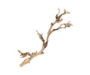 Exo Terra Forest Branch - Small