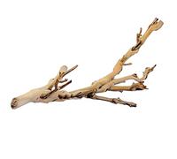 Exo Terra Forest Branch, Small (Exact Size May Vary)