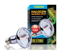 Exo Terra Halogen Basking Spot 100W - Sun Glo Neodymium Lamp PT2183