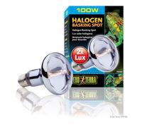 Exo Terra Halogen Basking Spot 100w
