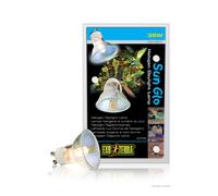 Exo Terra Halogen Basking Spot Lamp 35w 100w Reptile Vivarium Heat Bulb