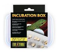 Exo Terra Incubation Box - 16.5 x 11 x 5cm