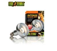 Exo Terra Intense Basking Day Glo Spot Lamp 150w