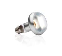 Hagen Exo Terra Intense Basking Spot Lamps - 100w