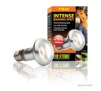 Exo Terra Intense Basking Spot Lamp