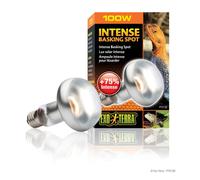 Exo Terra Intense Basking Spot Lamp