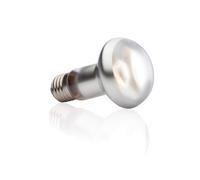 Exo Terra Intense Basking Spot Lamp, 50 W