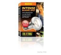 Exo Terra Intense Basking Spot Lamp Bulb 50w 75w 100w 150w Reptile Vivarium