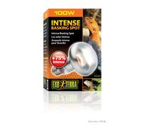 Exo Terra Intense Basking Spot Lamp Bulb 50w 75w 100w 150w Reptile Vivarium