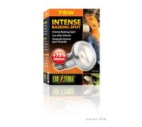 Hagen Exo Terra Intense Basking Spot Lamps - 75w