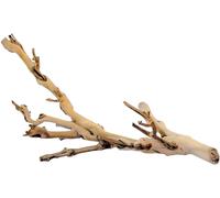 EXO TERRA NATURAL FOREST BRANCH REPTILE VIVARIUM DECOR LIZARD SNAKE 3 SIZES