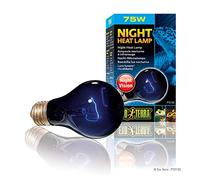 Exo Terra Night Heat Bulb A19 75w