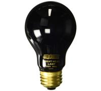 Exo Terra Night Heat Lamp 75w