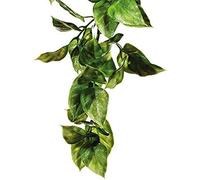 Exo Terra Plastic Amapallo Plant, Large