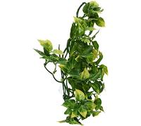 Exo Terra Plastic Amapallo Plant, Medium