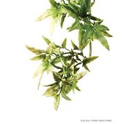 Exo Terra Plastic Croton Plant Medium