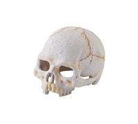 Exo Terra Primate Skull, Small