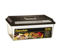 Exo Terra Faunarium, Flat