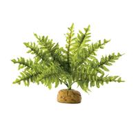 Exo Terra Rainforest Plant Boston Fern Small