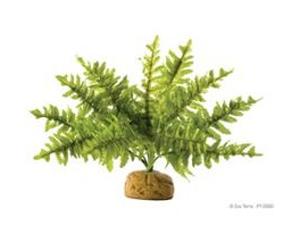 Exo Terra Rainforest Plant Boston Fern - Small