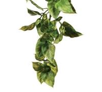 Exo Terra Reptile Plant - Replica Silk Ficus Abuliton Croton Amapallo Mandarin