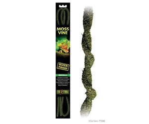 Exo Terra Reptile Vine Bendable Moss Small Large Waterproof Amphibian Decoration