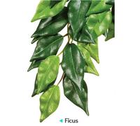 EXO TERRA REPTILE VIVARIUM TERRARIUM REALISTIC HANGING PLANT DECORATIONS 6 TYPES