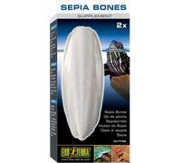 Exo Terra Sepia Bone for Turtles - 1 Pc