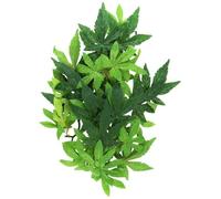 Exo Terra Silk Abutilon Plant, Medium